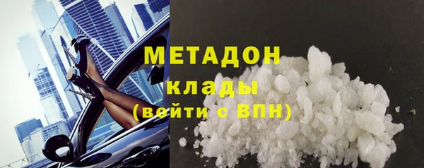 прущие грибы Елабуга