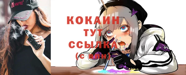 прущие грибы Елабуга