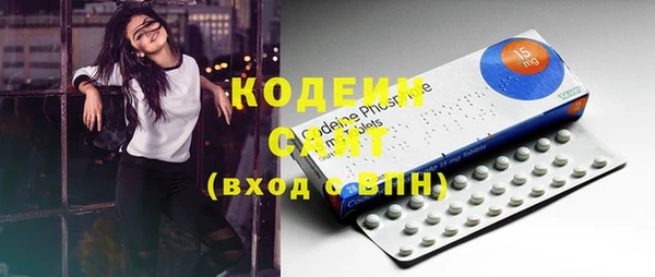 прущие грибы Елабуга