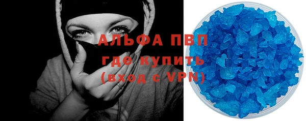 прущие грибы Елабуга