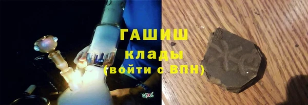 прущие грибы Елабуга