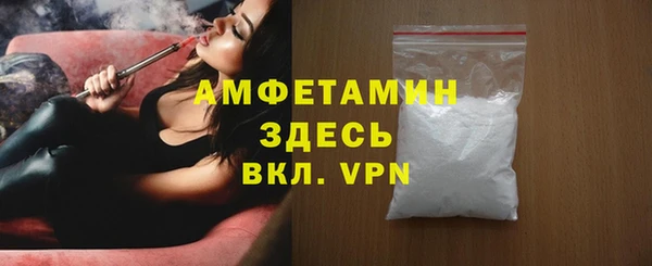прущие грибы Елабуга