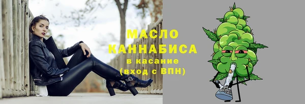 прущие грибы Елабуга
