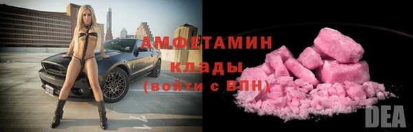 прущие грибы Елабуга
