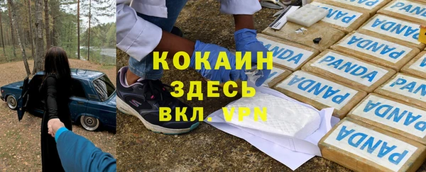 метадон Ельня