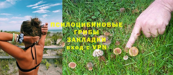 метадон Ельня