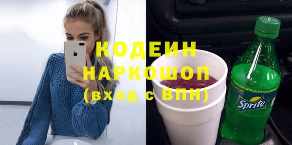 прущие грибы Елабуга