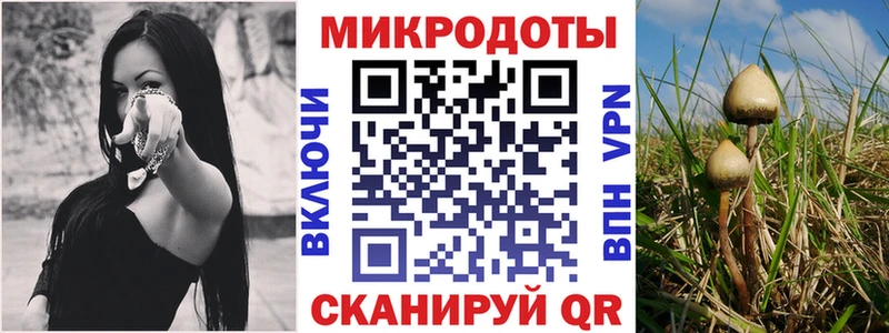 Галлюциногенные грибы Cubensis  мега онион  Воронеж 